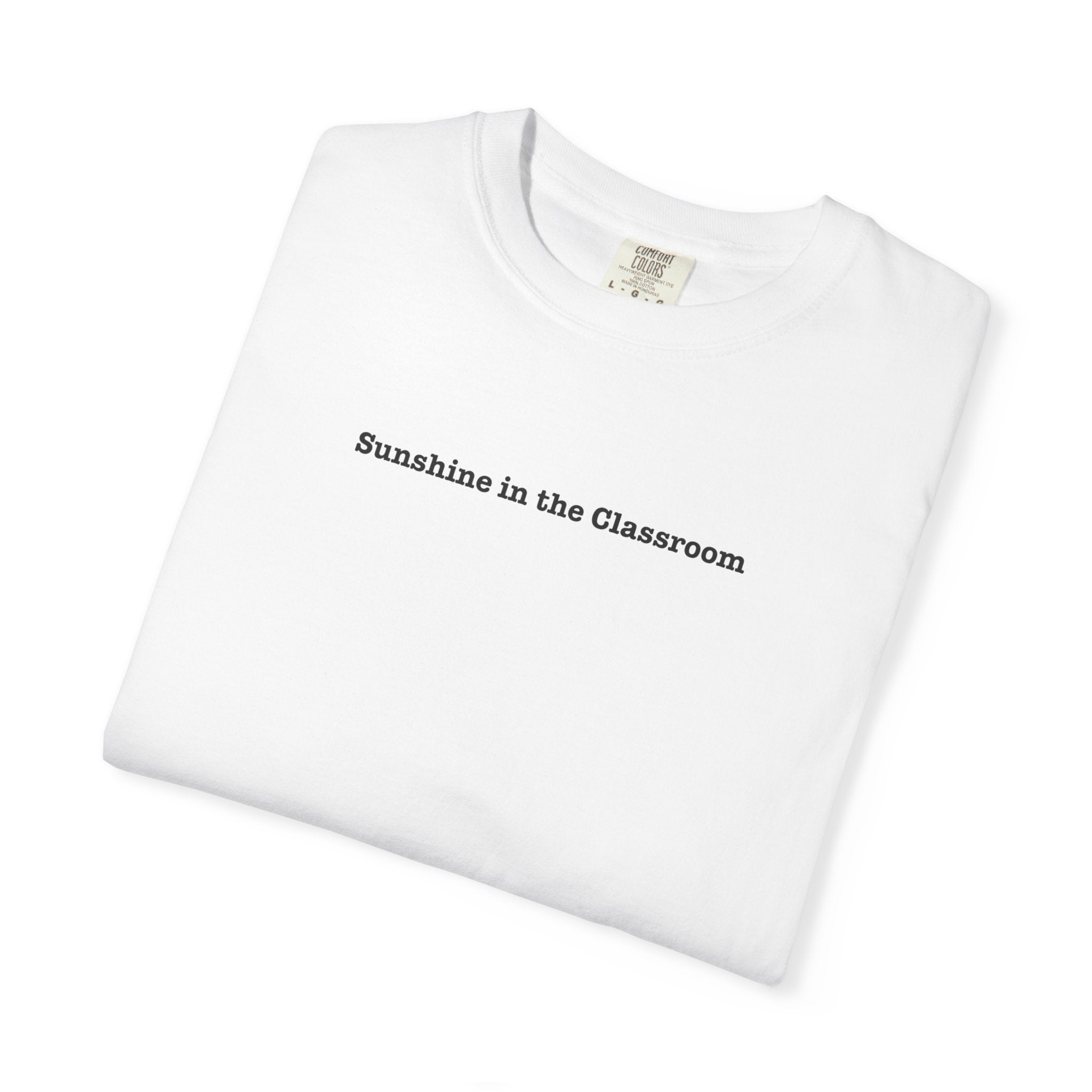 Classroom Light