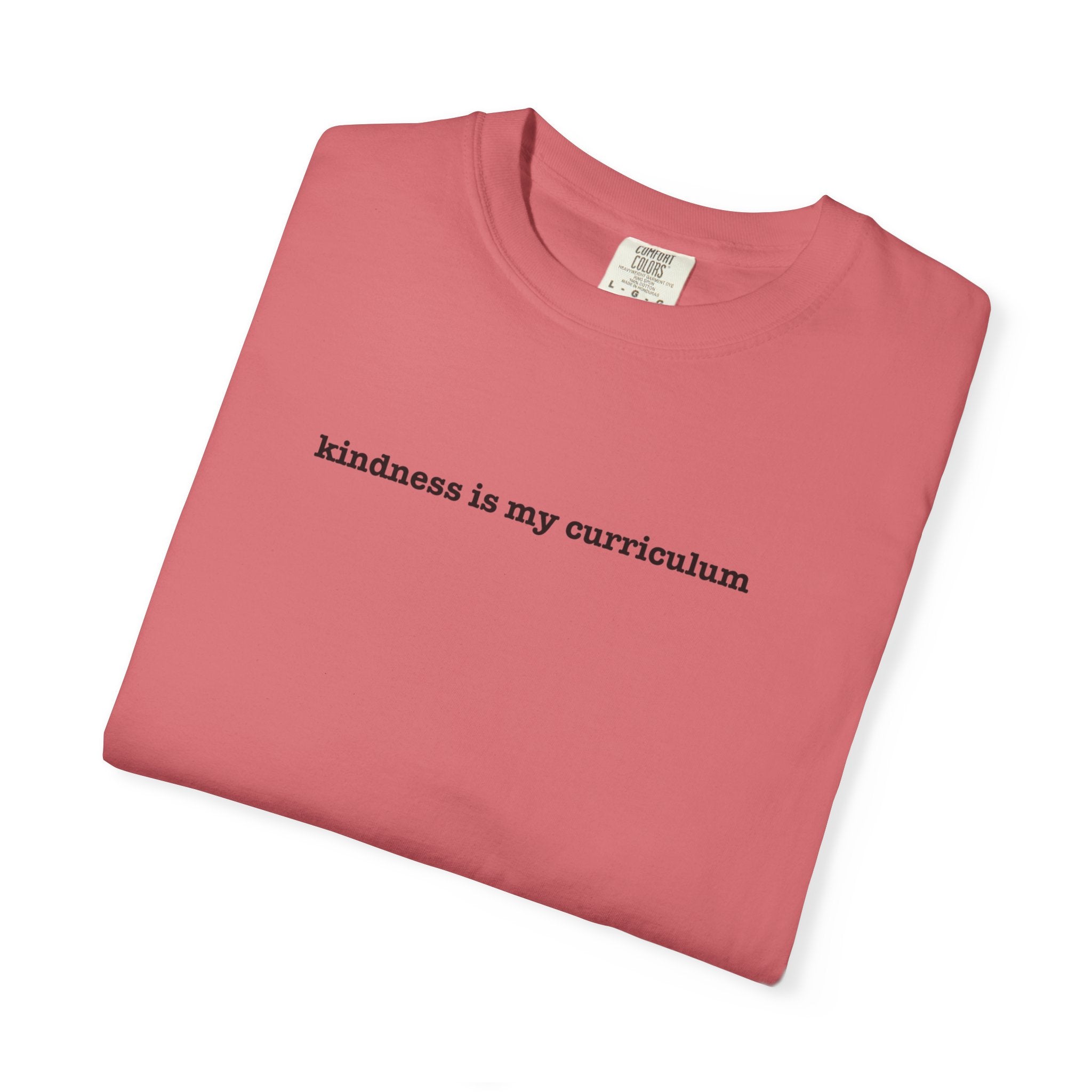 Kindness is My Curriculum