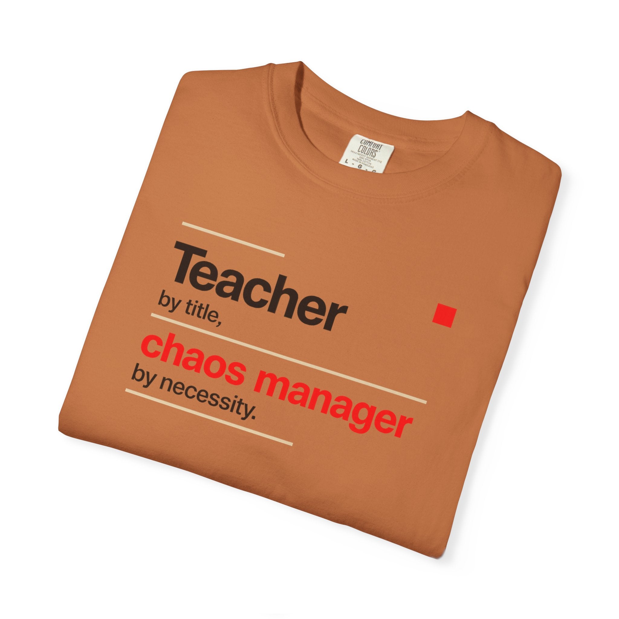 Teacher by Title Chaos Manager by Necessity