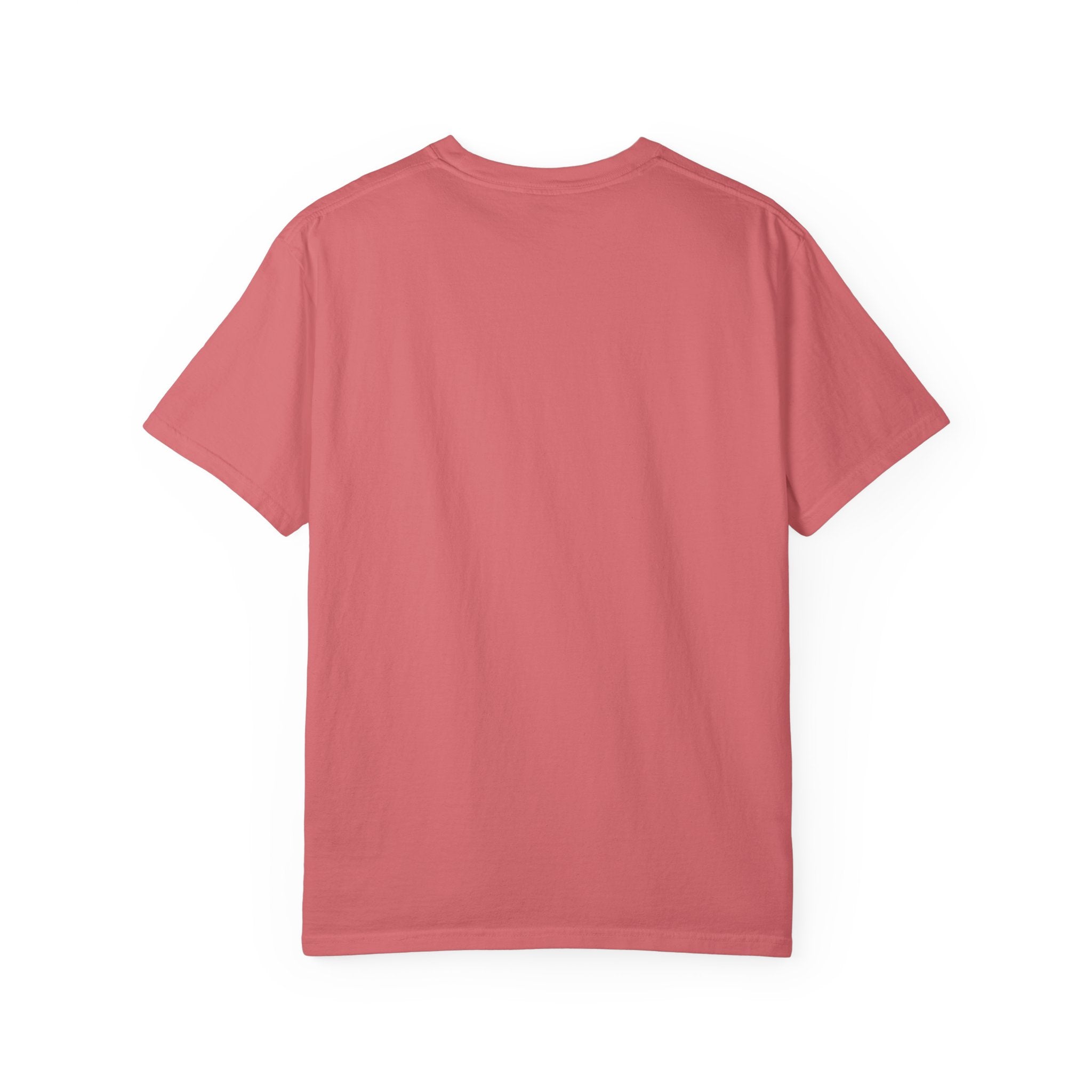 I Came I Taught I Graded